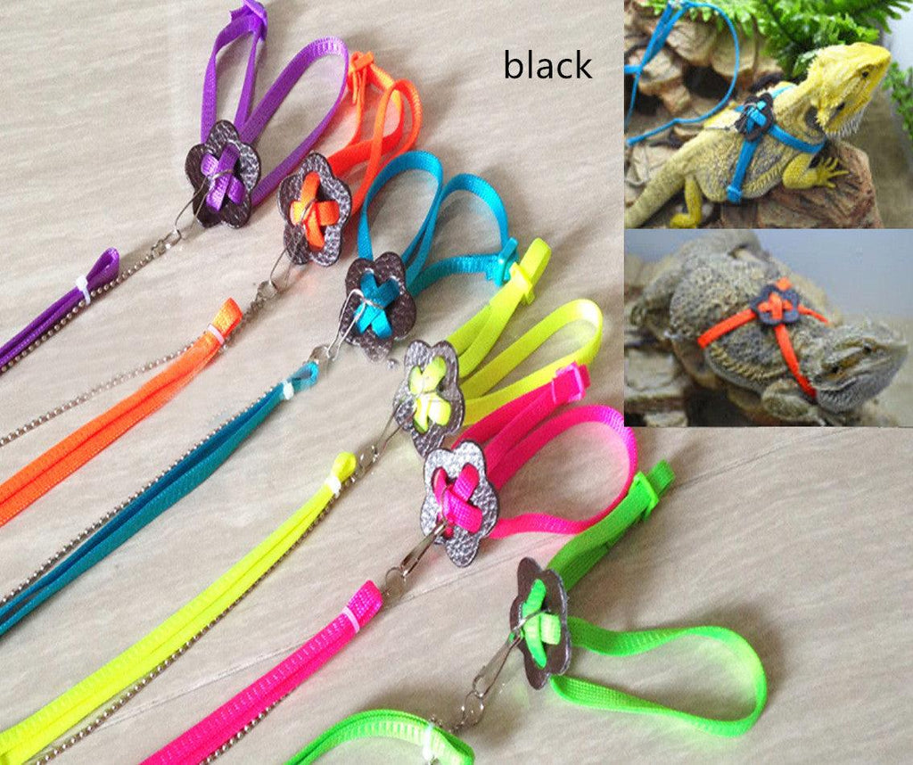 Lizard Adventure Harness And Leash Set